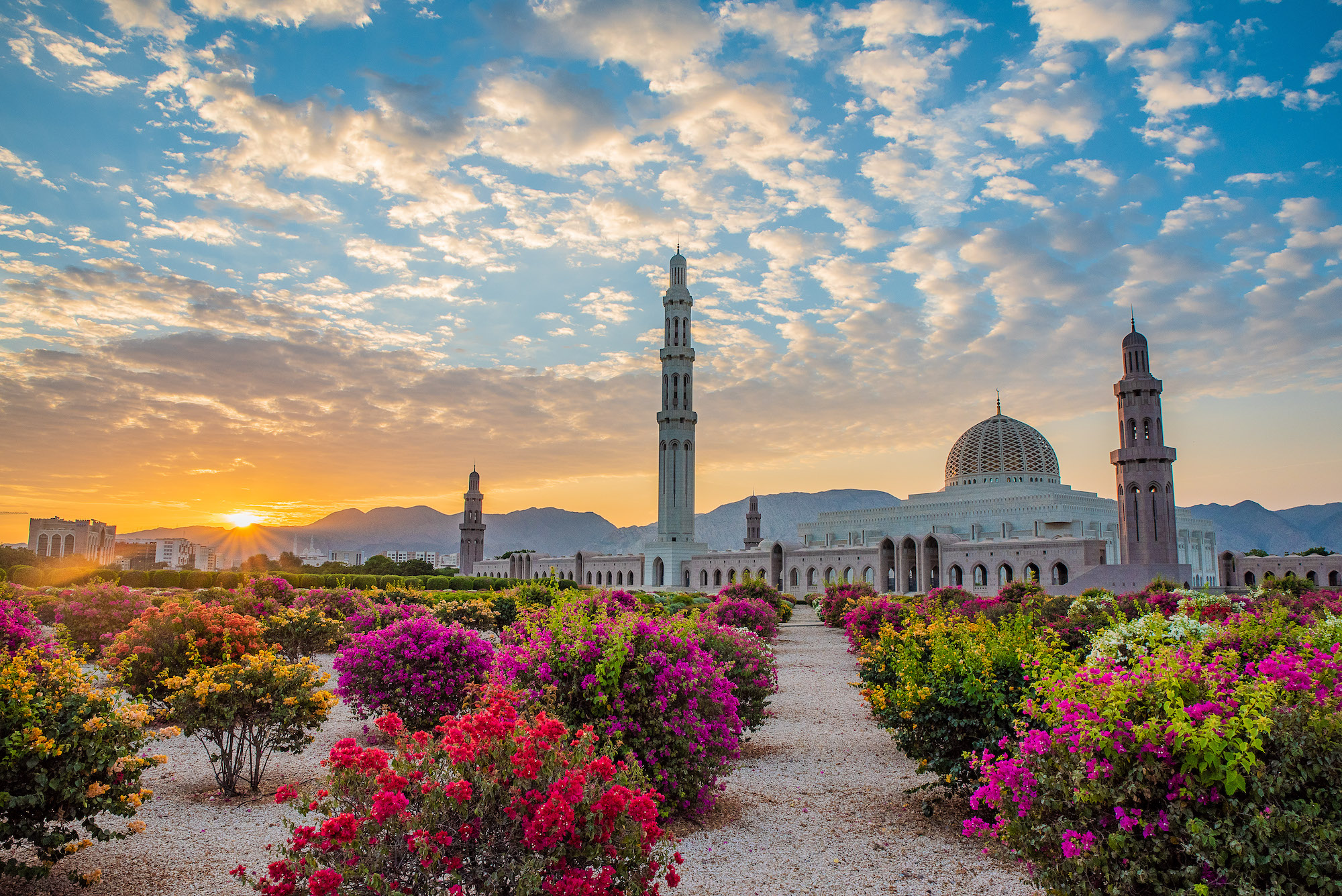 Consultancy Services for establishment of the Oman Tourism and Convention Bureau (OTCB)
